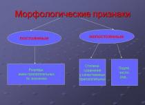 Características morfológicas de las partes del discurso.