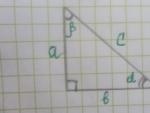 Como calcular el area de un triangulo