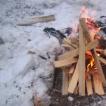 Как растопить печь сырыми дровами, эффективные методики